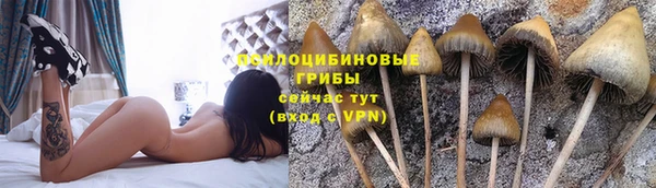 кокаин премиум Медногорск